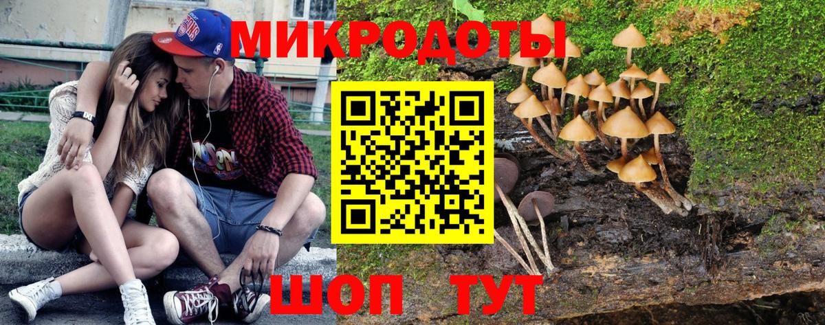 Псилоцибиновые грибы Magic Shrooms Сухой Лог