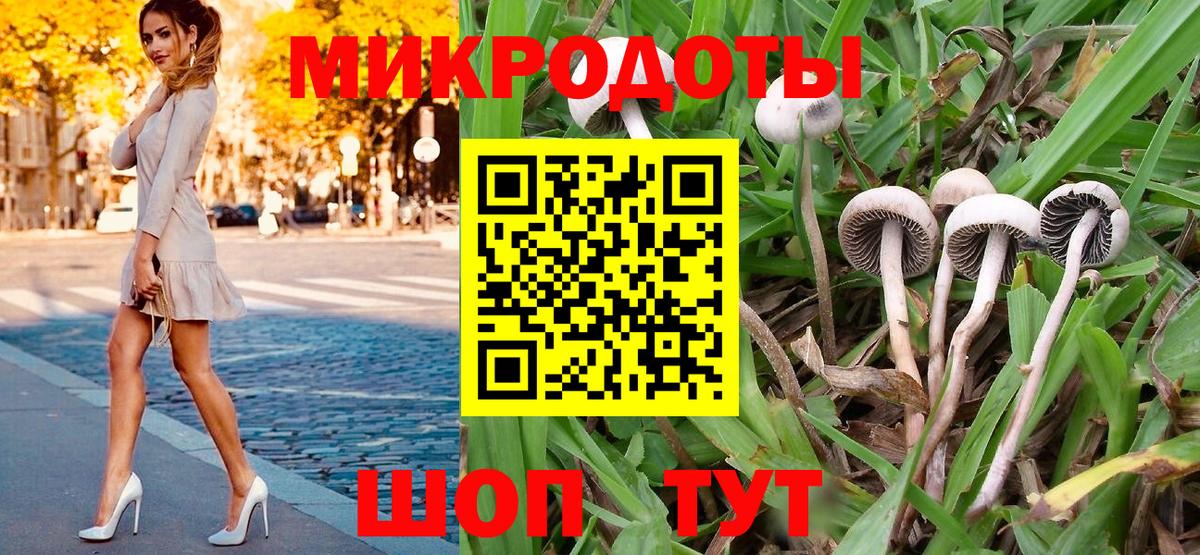 как найти закладки  Псилоцибиновые грибы мухоморы  Вход с VPN  Сухой Лог 